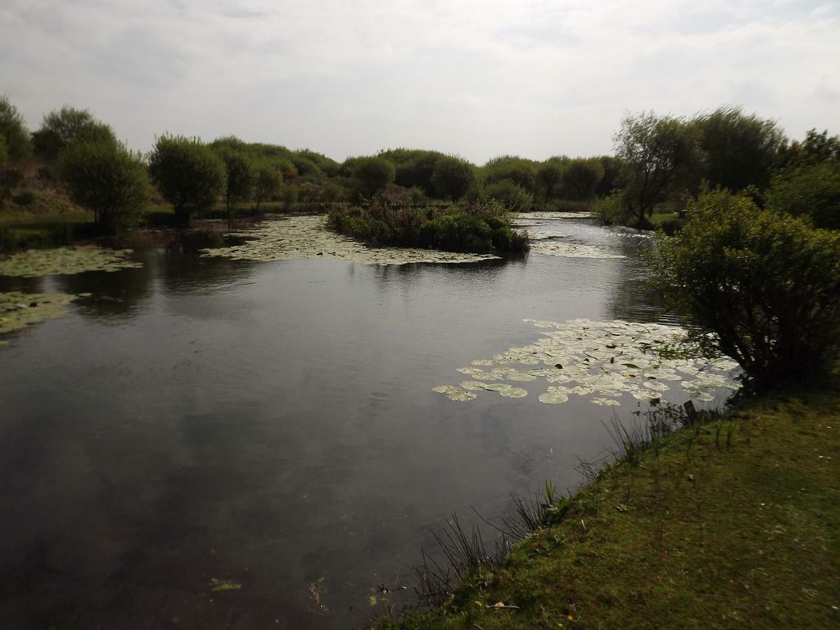 Kidwelly Marsh Water Ponds Fisheryヴィラ エクステリア 写真