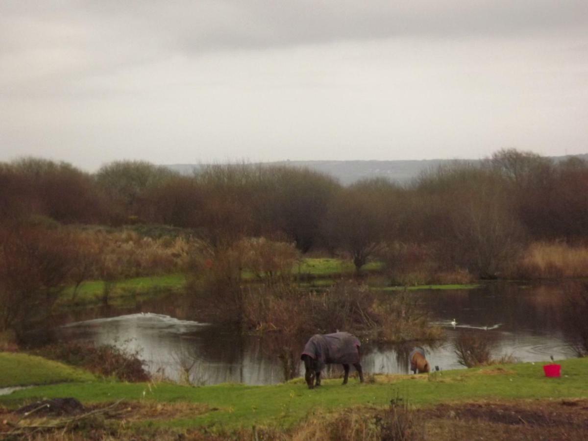 Kidwelly Marsh Water Ponds Fisheryヴィラ エクステリア 写真