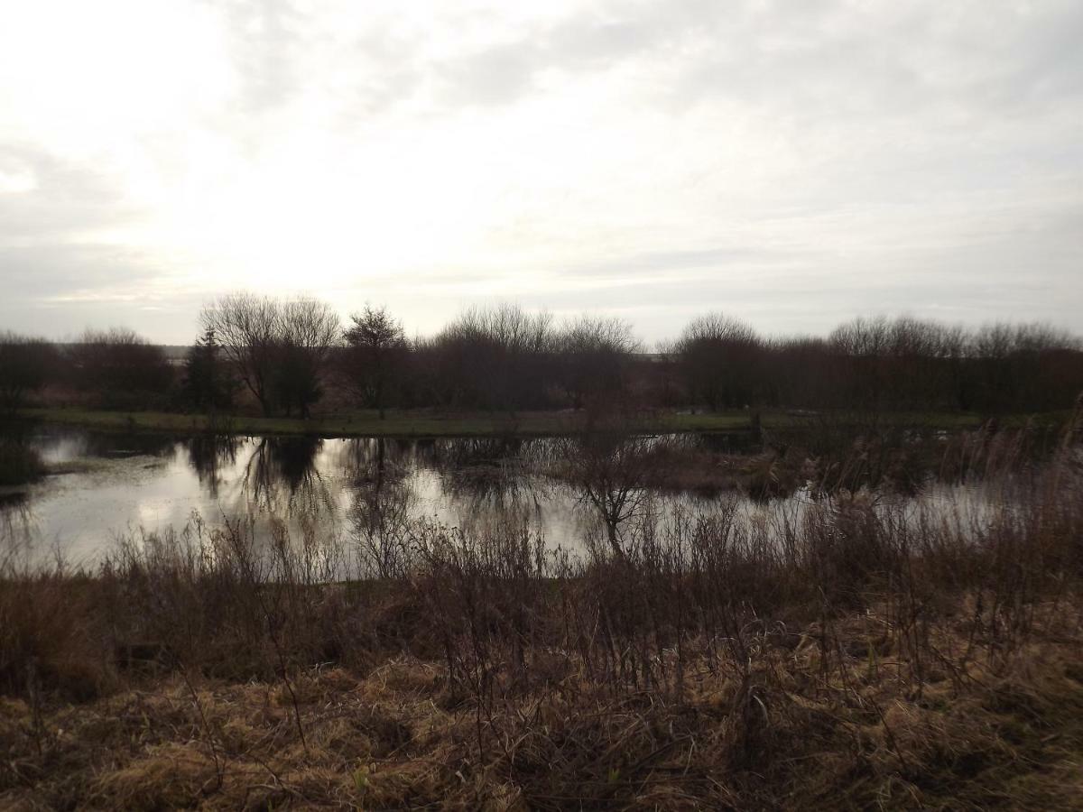 Kidwelly Marsh Water Ponds Fisheryヴィラ エクステリア 写真