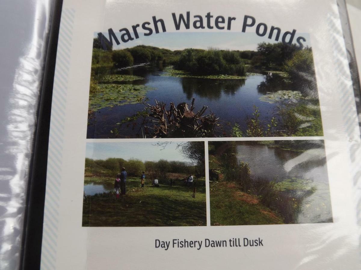 Kidwelly Marsh Water Ponds Fisheryヴィラ エクステリア 写真